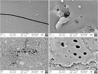 Pore characteristics and fractal characterization variability of typical middle- and high-rank coal reserves: A case study of middle- and high-rank coal samples in western Guizhou